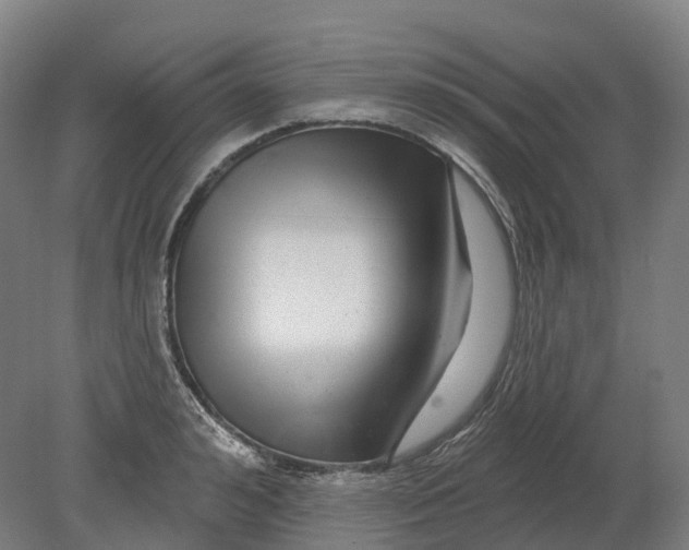 X0000080790992200701051349