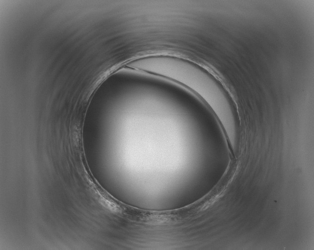 X0000080790993200701051349