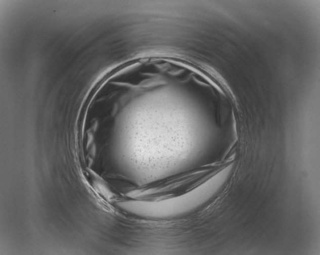 X0000080790996200701051349