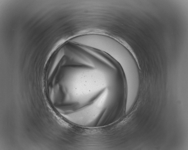 X0000080790997200701051349