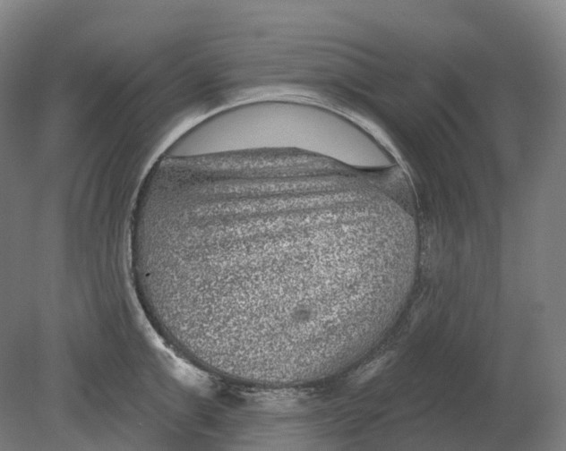X0000080790999200701051349