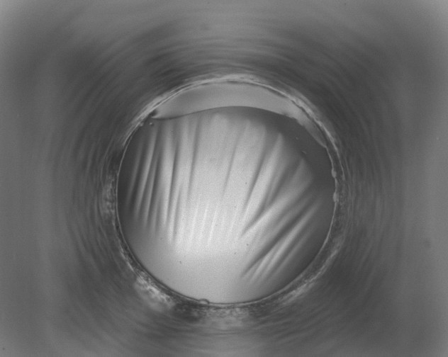 X0000080791001200701051349