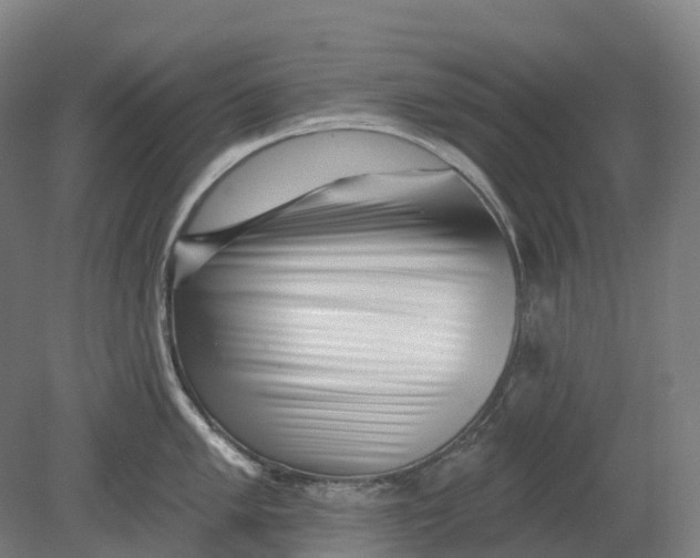 X0000080791005200701051349