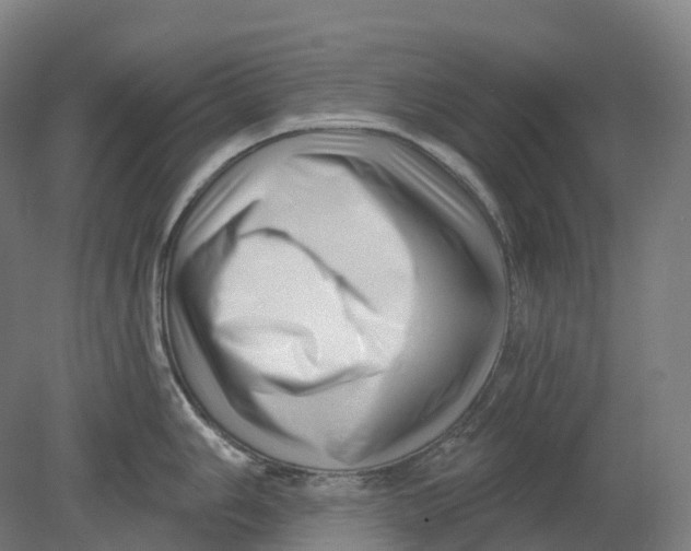 X0000080791006200701051348