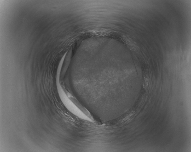 X0000080791010200701051348