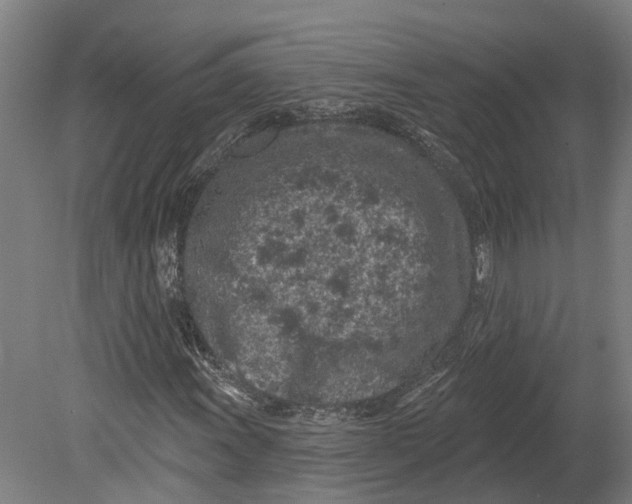 X0000080791011200701051348