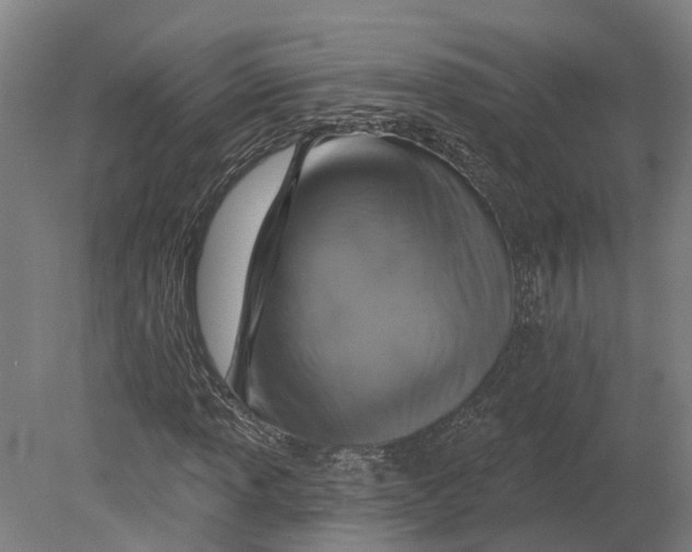 X0000080791013200701051348
