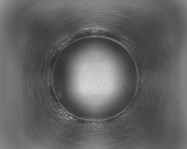 X0000080791014200701051348