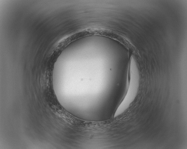 X0000080791016200701051348