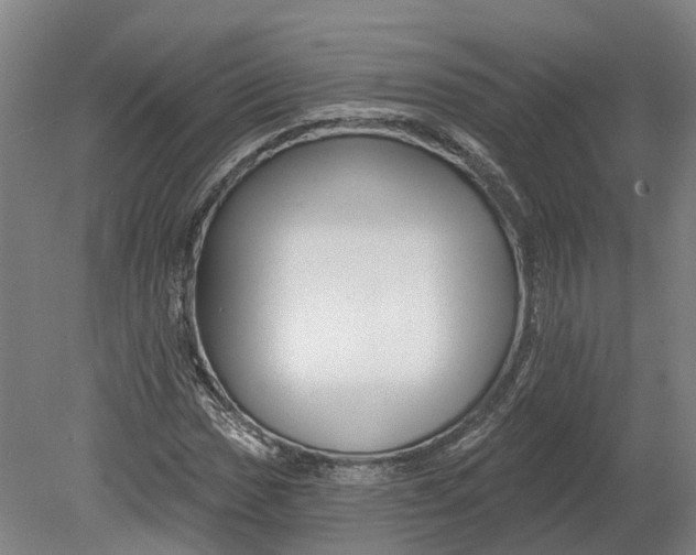 X0000080791017200701051348