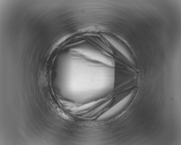 X0000080791018200701051348