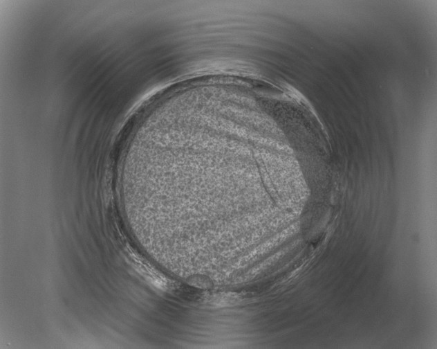 X0000080791019200701051348