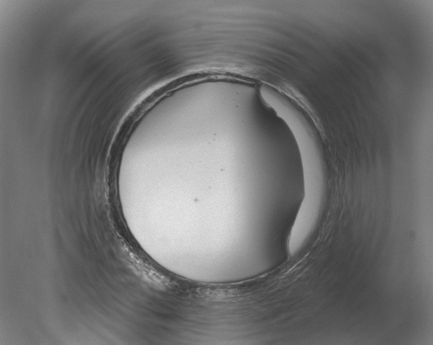 X0000080791020200701051348