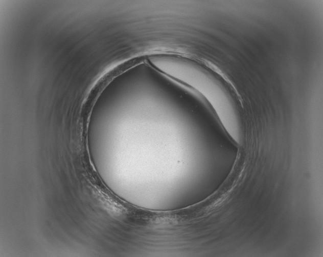 X0000080791021200701051348