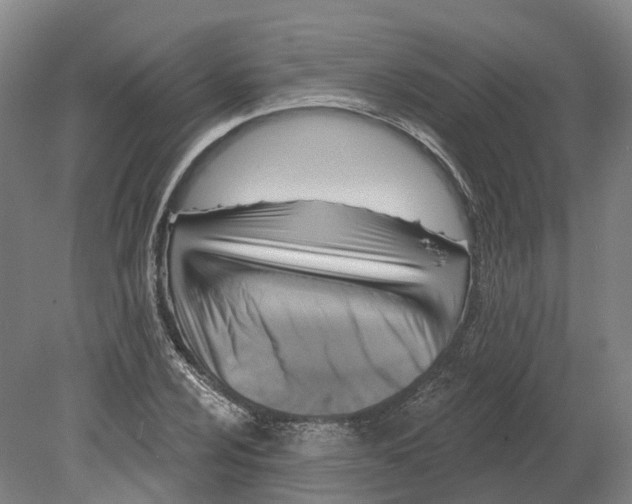 X0000080791024200701051348