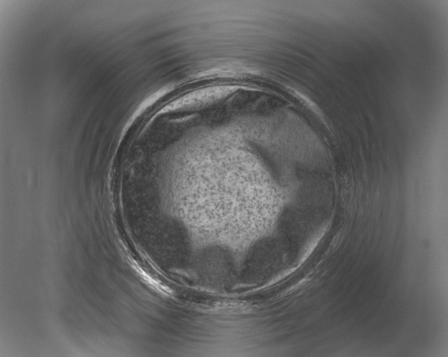 X0000080791026200701051348