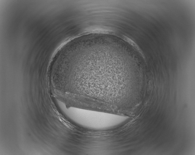 X0000080791027200701051348