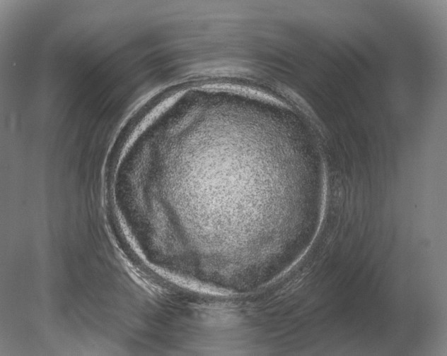 X0000080791031200701051348