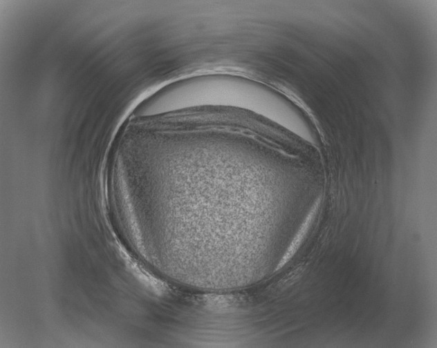 X0000080791032200701051348