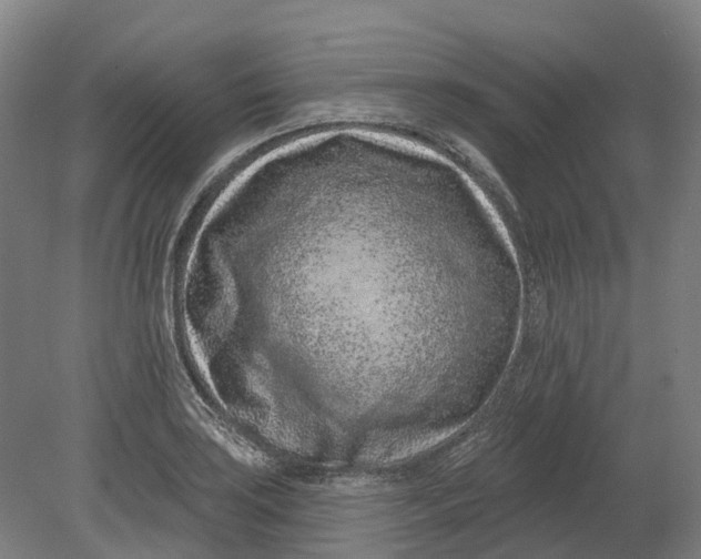 X0000080791035200701051348
