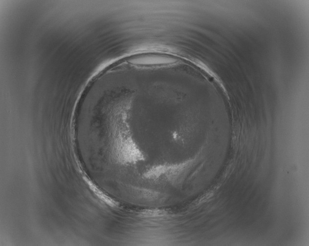 X0000080791037200701051348