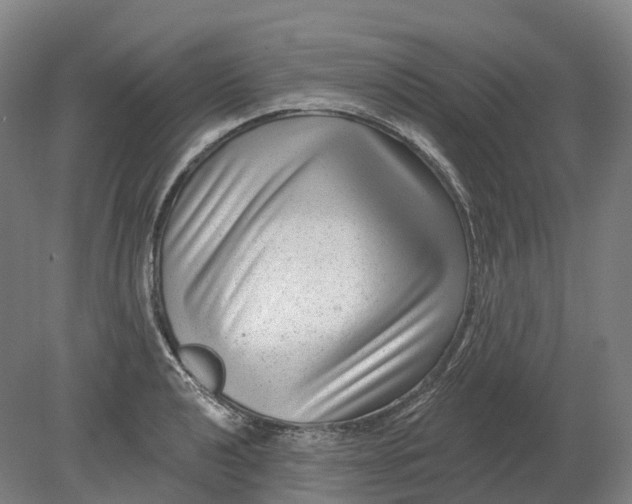 X0000080791040200701051348
