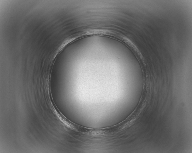 X0000080791041200701051348