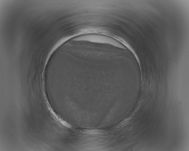 X0000080791045200701051348