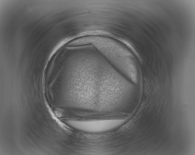 X0000080791046200701051348