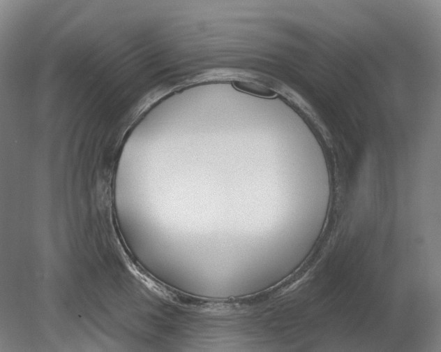 X0000080791049200701051348