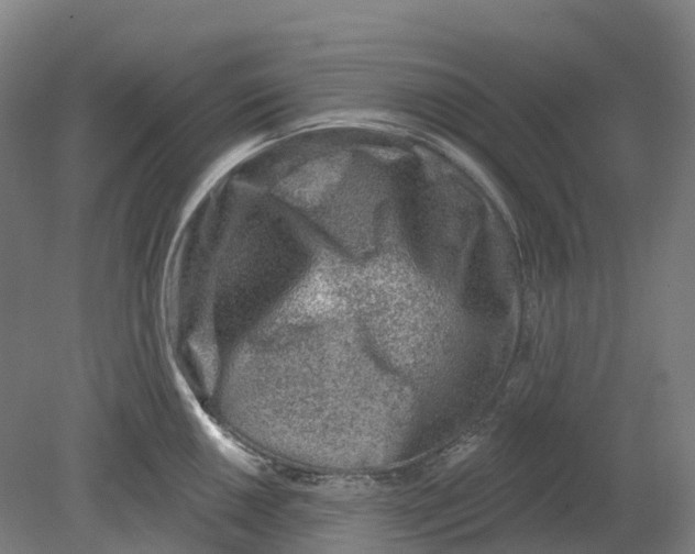X0000080791050200701051348
