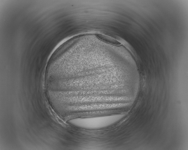X0000080791052200701051348