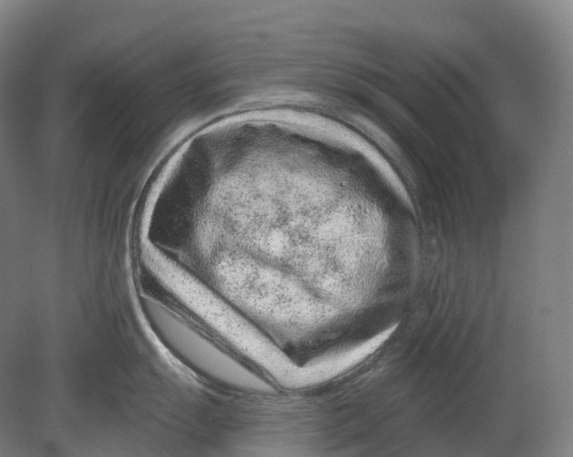 X0000080791055200701051348
