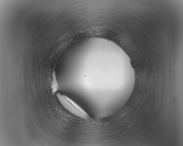 X0000080791058200701051348