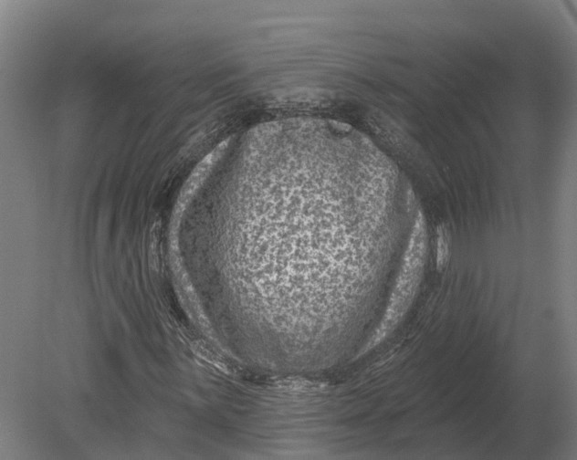 X0000080791059200701051348