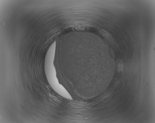 X0000080791060200701051348