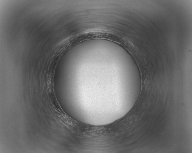 X0000080791062200701051348