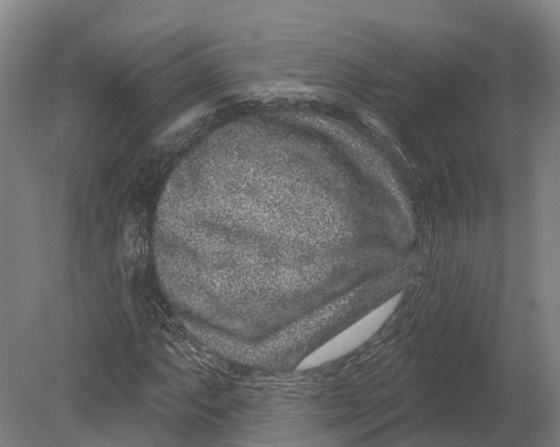 X0000080791063200701051348