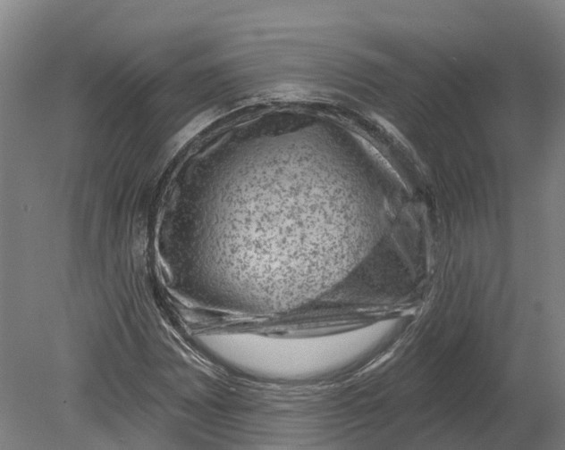 X0000080791065200701051348