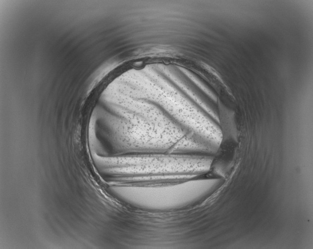 X0000080791066200701051347