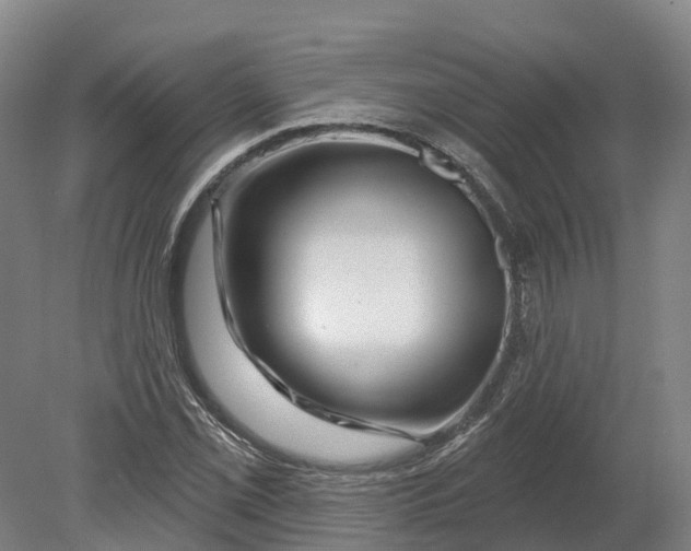 X0000080791069200701051347