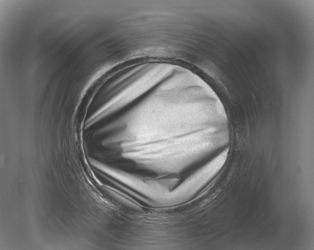 X0000080791070200701051347