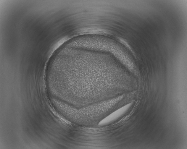 X0000080791071200701051347