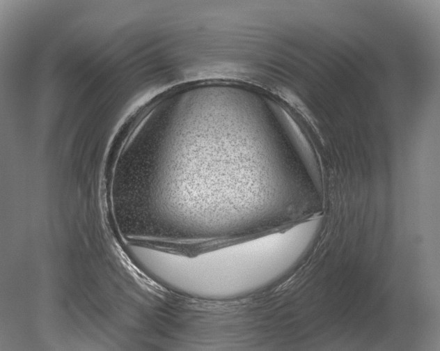 X0000080791072200701051347