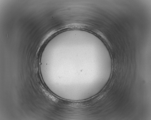 X0000080791075200701051347