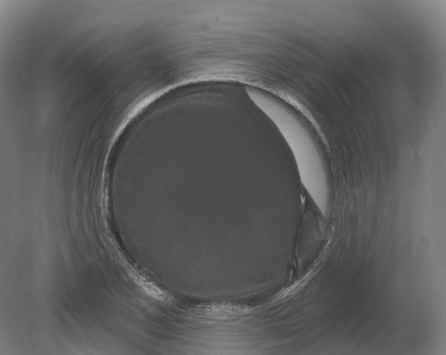 X0000080791077200701051347