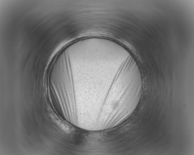 X0000080791078200701051347
