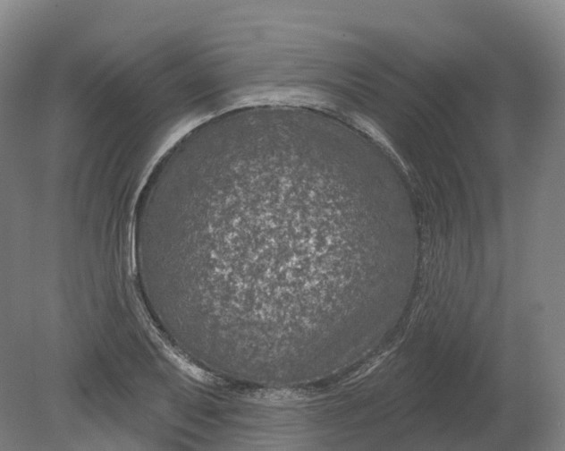 X0000080791079200701051347