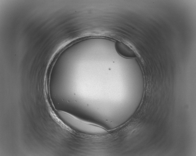 X0000080791080200701051347