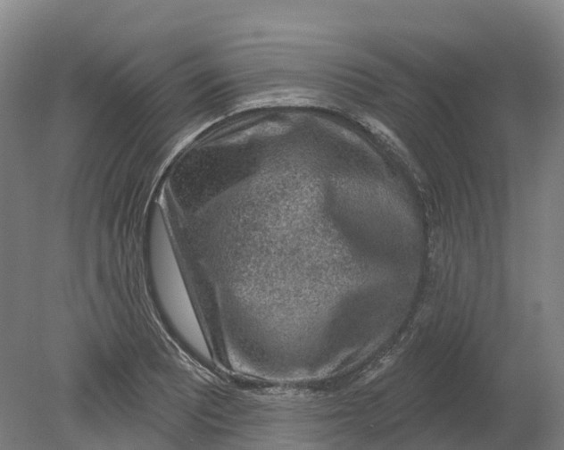 X0000080791081200701051347